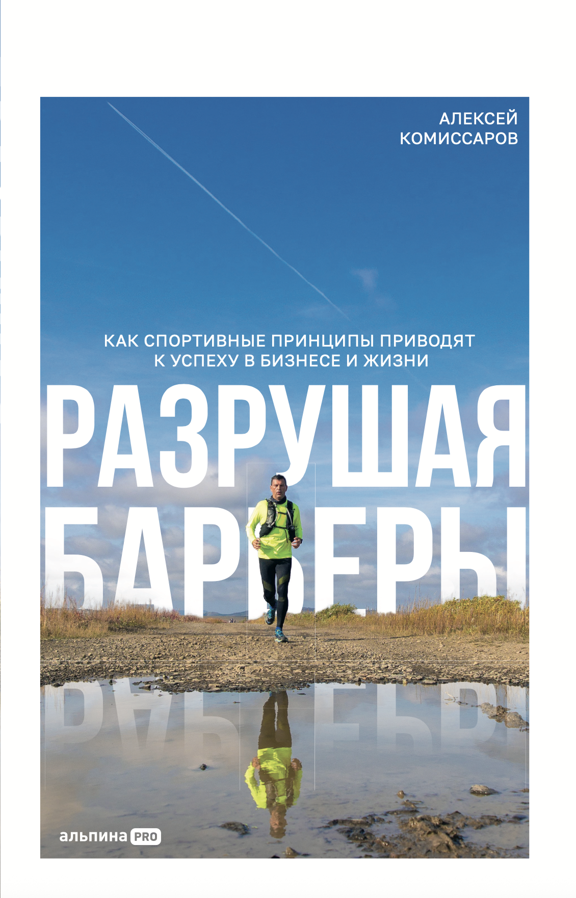 Обложка книги Разрушая Барьеры